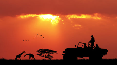 An African Adventure Can Turn Your Communication Upside Down