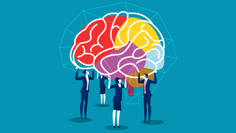 How to Build Effective Teams Applying Neuroscience