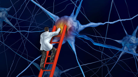 Boosting Performance Through Better Brain & Body Integration