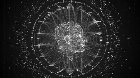Data Visualisation And The Brain