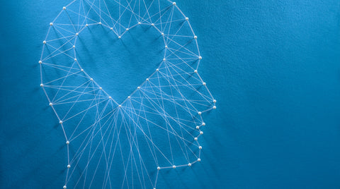 Emotional Intelligence & The Limbic Brain