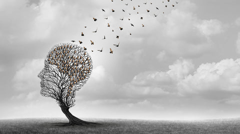 Emotions & Negotiation