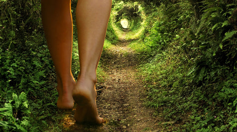 Falling Down The Rabbit Hole With A Purpose