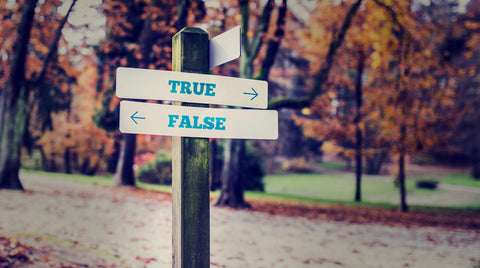 Fixed Mindset: Or I Always Knew There Was Something In That Confirmation Bias!