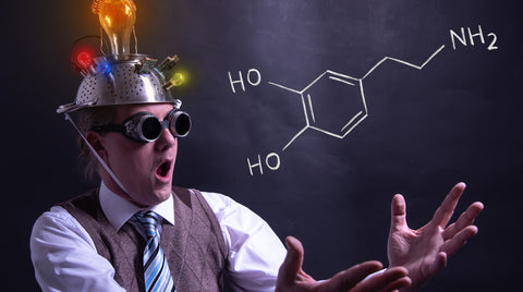 Searching For Dopamine