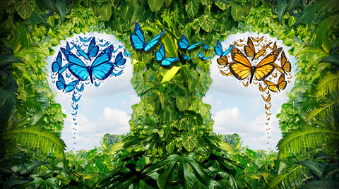 The Butterfly Effect And The Impact On Your Business World
