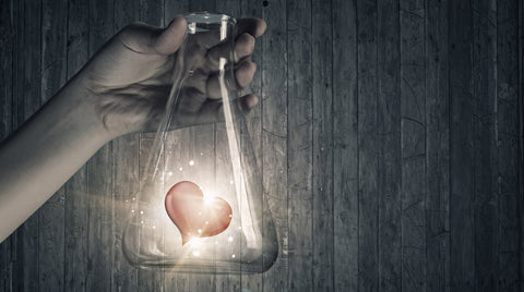 The Chemistry Of Love