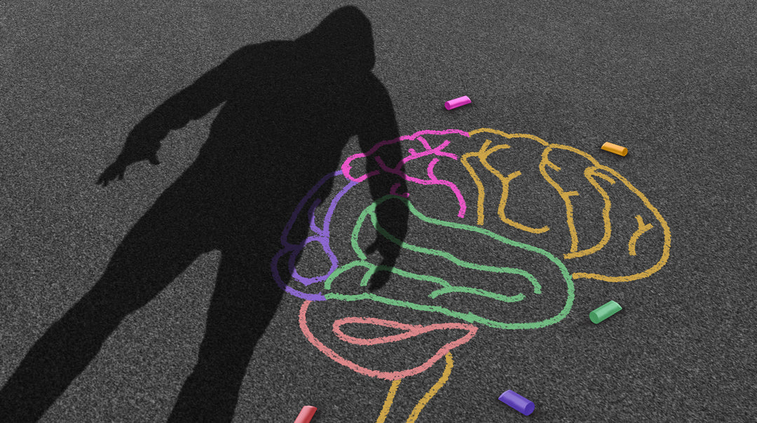 The Impact Of The Prefrontal Cortex On Behaviour – About my Brain Institute
