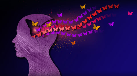 The Importance Of Imagination