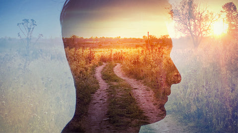 The Profound Effects Of Nature On Our Brain Health