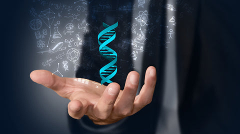 What Is Epigenetics And Why Should I Care?