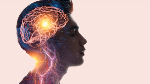 Back To The Future Of Learning In The Organisational World In 2021