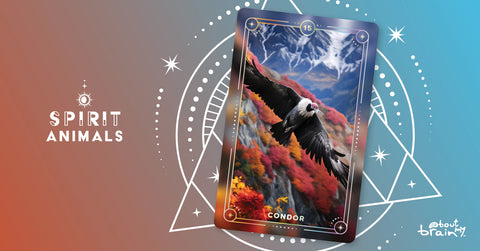 Condor
