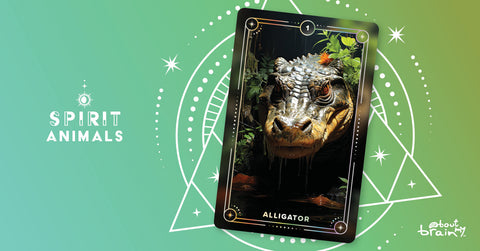 Alligator