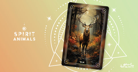 Elk