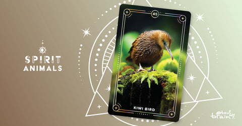 Kiwi Bird