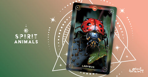 Ladybug