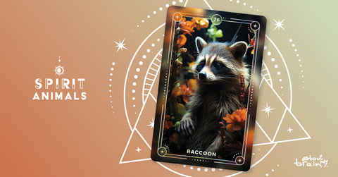 Raccoon
