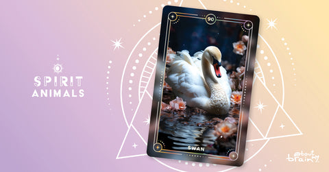 Swan
