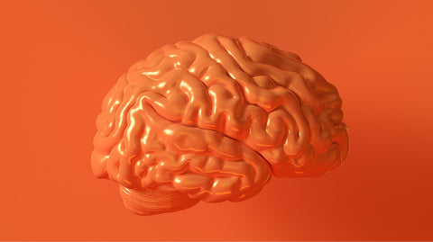 The Neurobiology of Integration - Becoming a High Performing Leader
