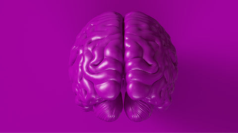 The Neurobiology of Imagination - Becoming an Innovative Leader