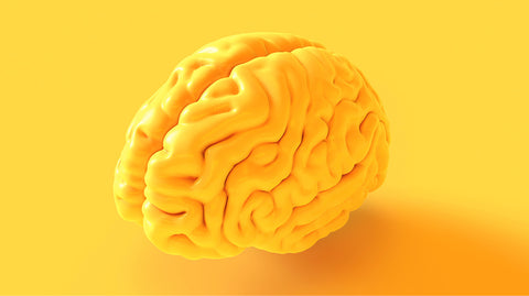The Neurobiology of Inspiration - Becoming a Collaborative Leader