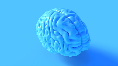 The Neurobiology of Intuition - Becoming an Agile Leader
