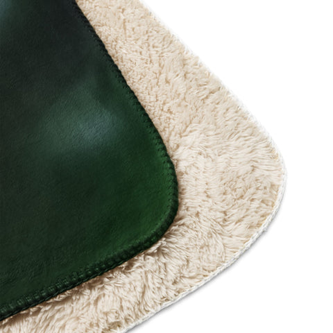 About my Brain Institute Blankets Kiwi Bird Spirit Animal Sherpa Blanket