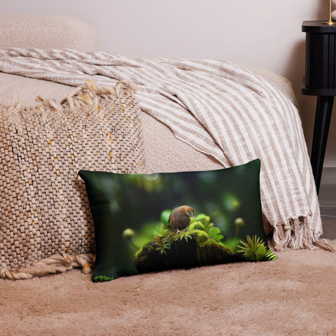 About my Brain Institute Cushion Covers 20″×12″ Kiwi Bird Spirit Animal Cushion Covers
