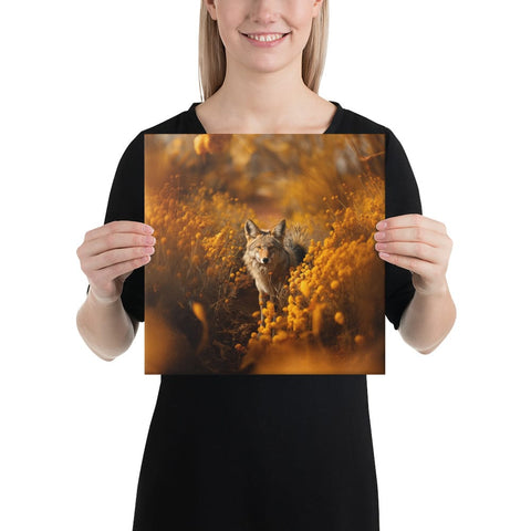About my Brain Institute Wall Art 12″×12″ Coyote Spirit Animal Canvas