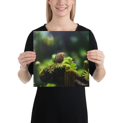 About my Brain Institute Wall Art 12″×12″ Kiwi Bird Spirit Animal Canvas