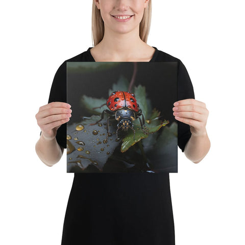 About my Brain Institute Wall Art 12″×12″ Ladybug Spirit Animal Canvas