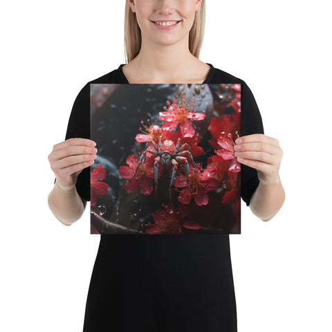 About my Brain Institute Wall Art 12″×12″ Spider Spirit Animal Canvas