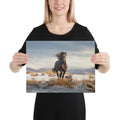 About my Brain Institute Wall Art 12″×16″ Horse Spirit Animal Canvas