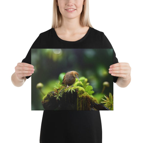 About my Brain Institute Wall Art 12″×16″ Kiwi Bird Spirit Animal Canvas