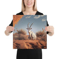 About my Brain Institute Wall Art 16″×16″ Arabian Oryx Spirit Animal Canvas