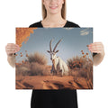 About my Brain Institute Wall Art 16″×20″ Arabian Oryx Spirit Animal Canvas