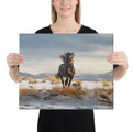 About my Brain Institute Wall Art 16″×20″ Horse Spirit Animal Canvas
