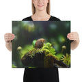 About my Brain Institute Wall Art 16″×20″ Kiwi Bird Spirit Animal Canvas