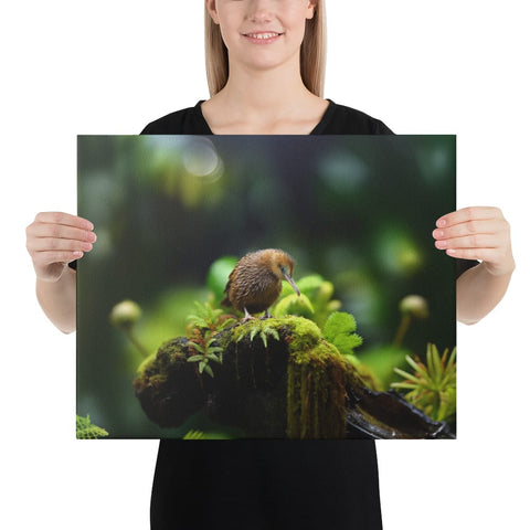 About my Brain Institute Wall Art 16″×20″ Kiwi Bird Spirit Animal Canvas