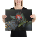 About my Brain Institute Wall Art 16″×20″ Ladybug Spirit Animal Canvas