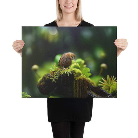 About my Brain Institute Wall Art 18″×24″ Kiwi Bird Spirit Animal Canvas