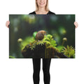 About my Brain Institute Wall Art 24″×36″ Kiwi Bird Spirit Animal Canvas