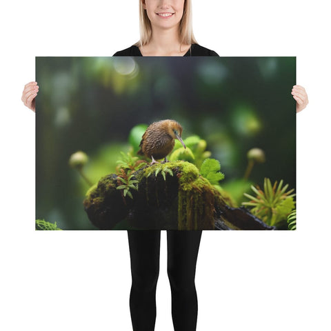 About my Brain Institute Wall Art 24″×36″ Kiwi Bird Spirit Animal Canvas