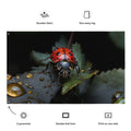 About my Brain Institute Wall Art Ladybug Spirit Animal Flag Wall Art