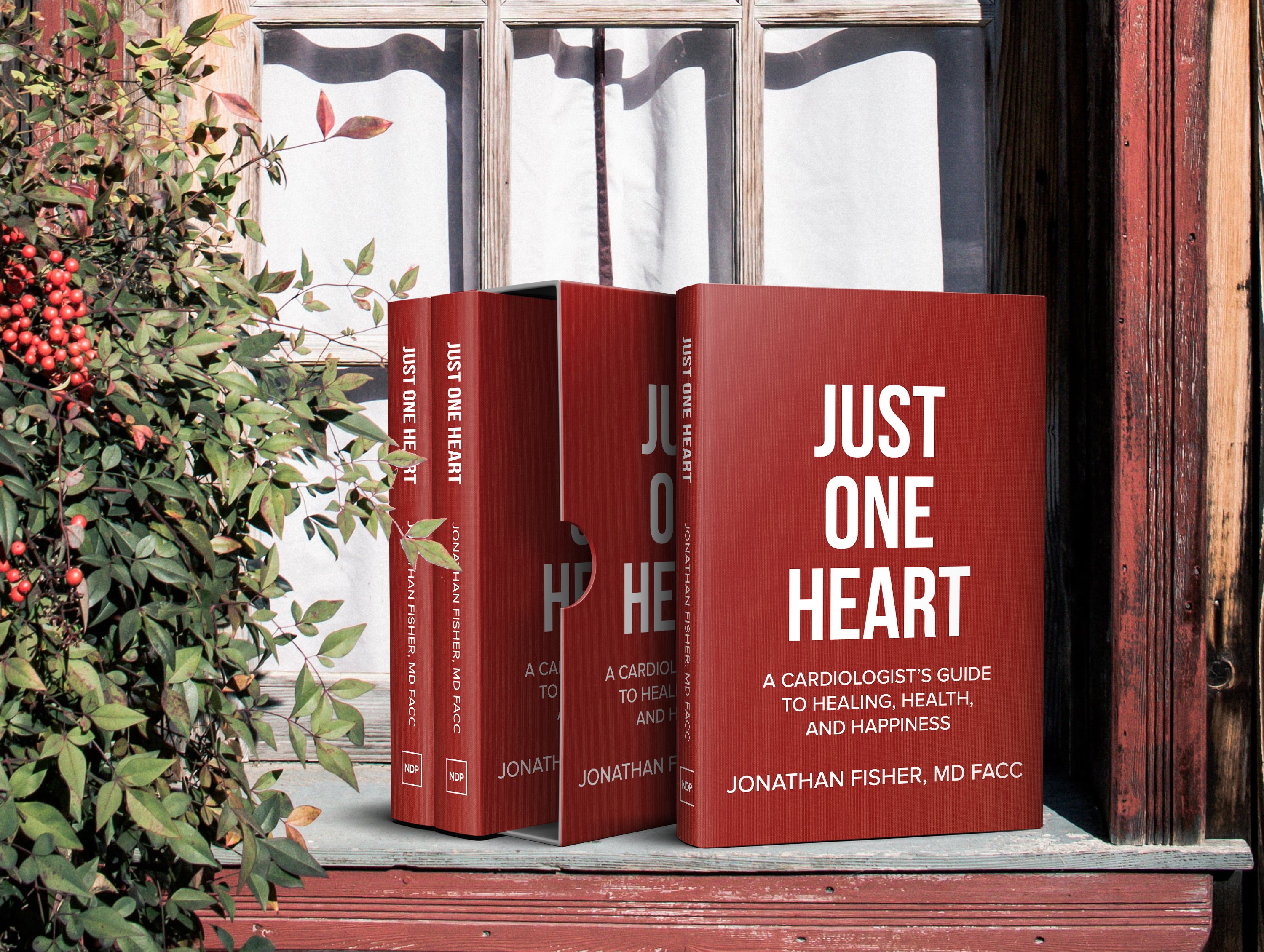 JUST ONE HEART: A CARDIOLOGIST’S GUIDE TO HEALING, HEALTH, AND HAPPINESS - Jonathan Fisher