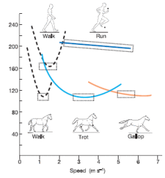 Ultra Nutrition For The Ultimate Animal