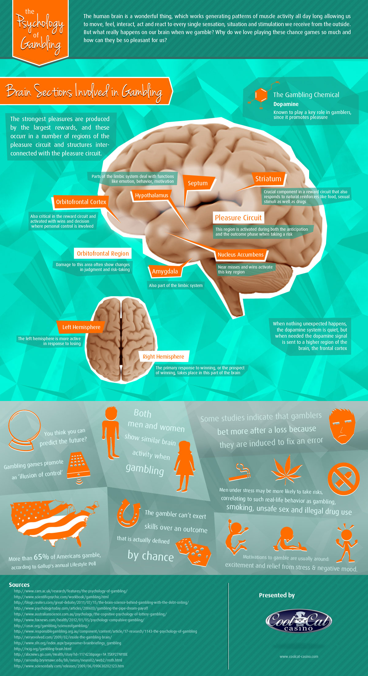 Source: Daily Infographic