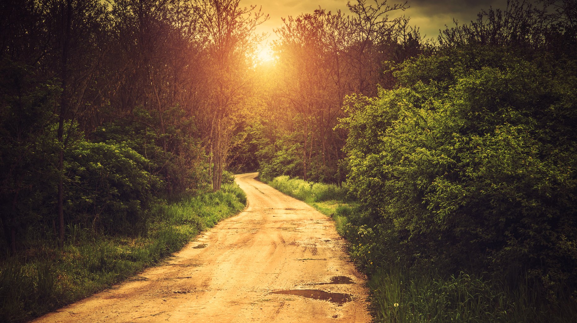 What-Path-Are-You-On