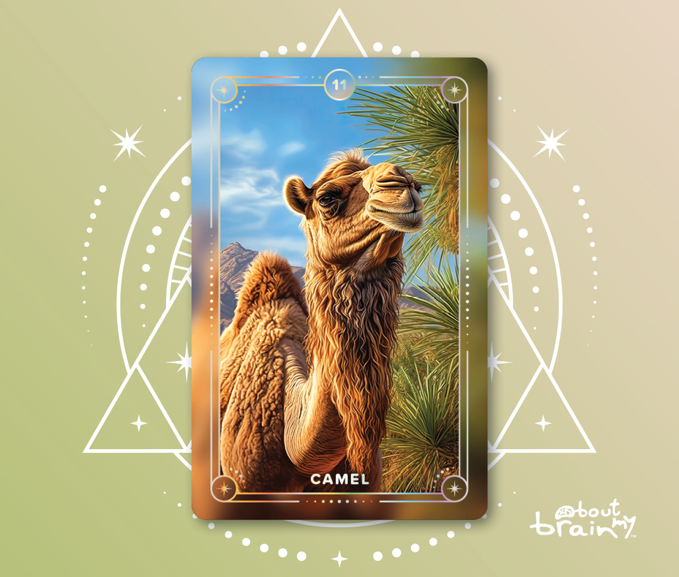Banner Spirit Animals About My Brain Institute - Camel